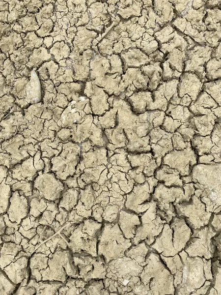 Suchá Popraskaná Země Sucho Vypadá Jako Suchá Dehydratovaná Kůže Krásné — Stock fotografie