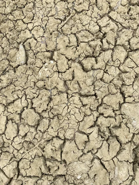 Terra Crepa Secca Siccità Sembra Pelle Secca Disidratata Sfondi Belli — Foto Stock