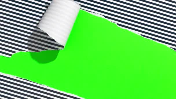 Rozbalovací dárek odhalující zelenou obrazovku - Stop Motion Animation - Červená mašle na černobílém balicím papíru