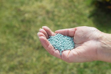 One woman farmer is fertilizing the lawn soil. Female hand of worker, Fertilizer For Lawns in springtime for the perfect lawn. High quality photo