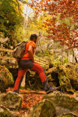 Gülümseyen erkek yürüyüşçü sonbaharda ormanda bazı kayalar üzerinde yürür. Canlı renkler. Macera, Spor, Doğa. Seçici odak.