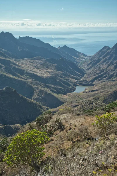 İspanya, Kanarya Adaları, Tenerife 'deki Anaga Kırsal Parkı' ndan muhteşem bir manzara. Mavi gökyüzüne karşı rengarenk bitkilerle dolu dağlık bir arazi.