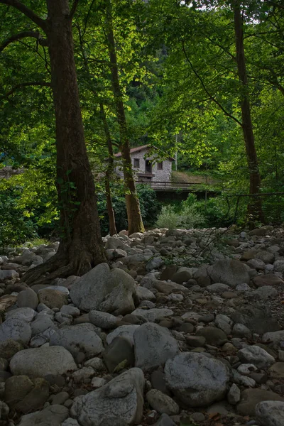 Beautiful natural landscape with fresh vegetation and river stones. Natural green background that transmits calm and relaxation. Vacation destination to calm the mind. Health trip.