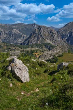 Penyas de Bejes, Cantabria belediyesi, Picos de Europa, İspanya, dağın tepesinden hava manzaralı. Ormanlı yüksek dağ manzarası ve dağ yamacında ıssız evler.