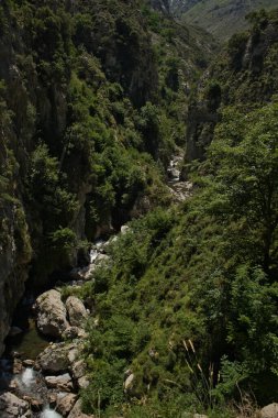 Cain 'den Poncebos' a, Picos de Europa, Cantabria, İspanya. Güneşli bir yaz gününde Cares Nehri 'nin yardığı kayalardan ve dikey duvarlardan oluşan doğal bir vadi..