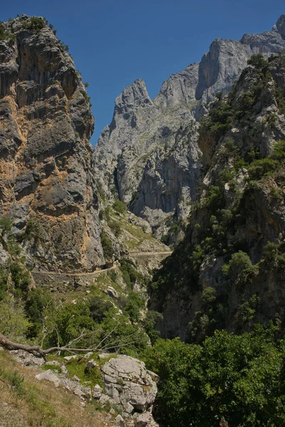 Útvonalterv Cain Poncebos Keskeny Lenyűgöző Kanyon Sziklák Hidak Barlangok Ösvények — Stock Fotó