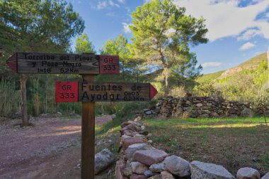 Signposted paths. Directional signpost on long-distance trail in the forest. Selective focused.Fuentes de Ayodar, Spain. Horizontal