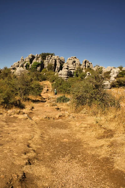 Hiker Walking Famous Torcal Antequera Malaga Spain Sunny Day Sports — Φωτογραφία Αρχείου