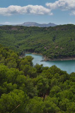 Spectacular panoramic views of the Guadalhorce reservoir, next to the Caminito del Rey in Malaga, Andalusia, Spain. Turquoise blue water and forest with blue sky on a sunny day.