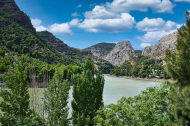 Avrupa 'da berrak dağ gölü olan Idyllic bahar yaz manzarası. Doğa ve Seyahat kavramı