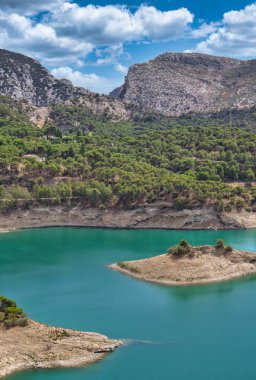 Bahar mevsimi manzarası harika yeşillik ve nehir. Çevre kavramı