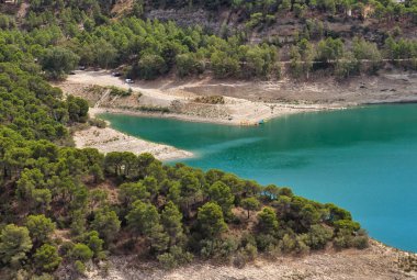 Bahar mevsimi manzarası harika yeşillik ve nehir. Çevre ve doğa kavramı