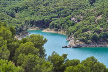 Bahar mevsimi manzara arka plan nehri ve harika yapraklar. Çevre kavramı