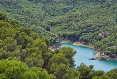 Bahar mevsimi manzara arka plan nehri ve harika yapraklar. Çevre kavramı