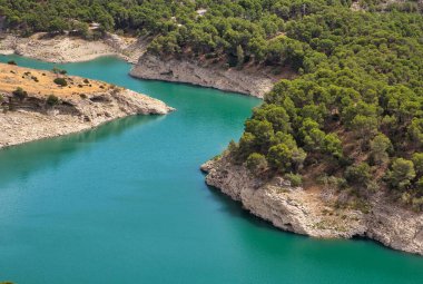 Bahar mevsimi manzarası harika yeşillik ve nehir. Çevre ve doğa kavramı