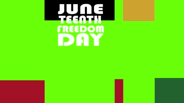 Juneteenth Freedom Day Animó Tercer Diseño Inferior Alta Resolución Fps — Vídeos de Stock