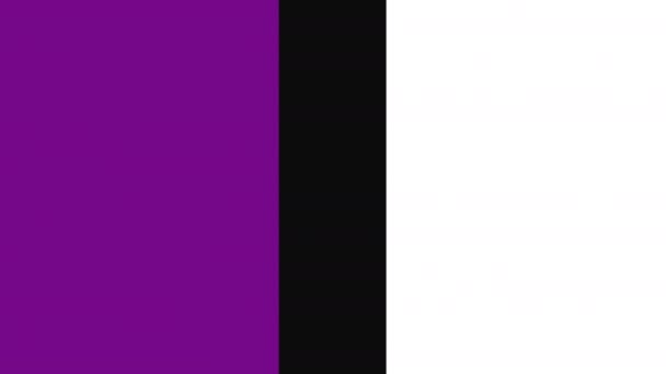 Фиолетовый Белый Цвета Простой Минимальный Стиль Анимации Перехода Фона 60Fps — стоковое видео