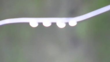 Close-up shot of raindrops on a washing line, HD video.