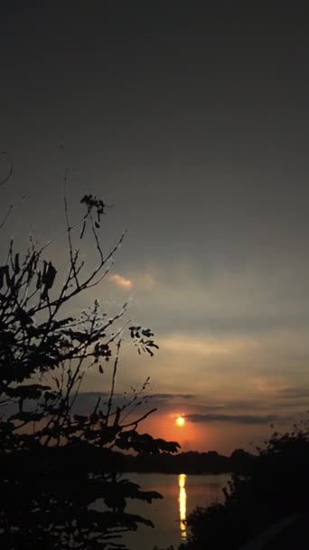 Кінематографічний Вертикальний Знімок Заходу Сонця Озері Птахами Які Літають Небі — стокове відео