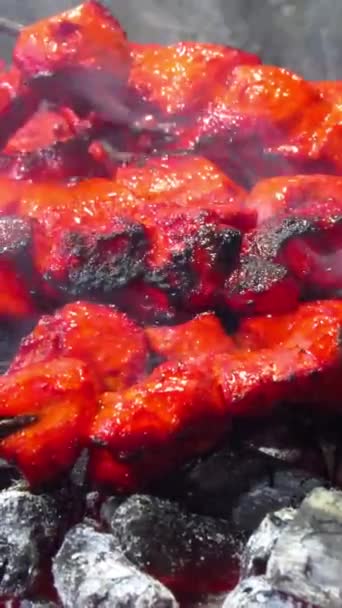 Vertical Shot Chicken Boti Kabab Pinging Parrilla Chef Barbacoas Carbón — Vídeo de stock