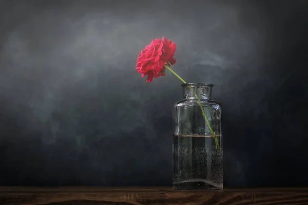 Virág Vázában Vörös Rózsa Csendélet — Stock Fotó