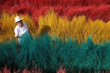Parkta yürüyen Asyalı bir kadın renkli ağaçlara bakıyor..