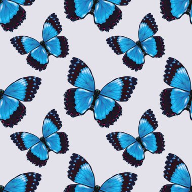 Çiçekli ve kelebeksiz desenli vektör tasarımı