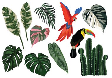 summer beach tropical background design