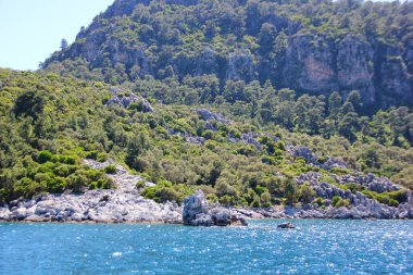 Güneşin parlaklığıyla parlak mavi deniz suyu, yeşilliklerle kaplanmış kayalık bir sahil, tatil için harika bir yer.