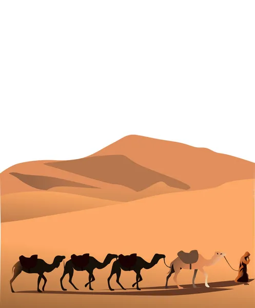 Vector Ilustración Desierto Con Hombre Una Caravana Camellos — Archivo Imágenes Vectoriales