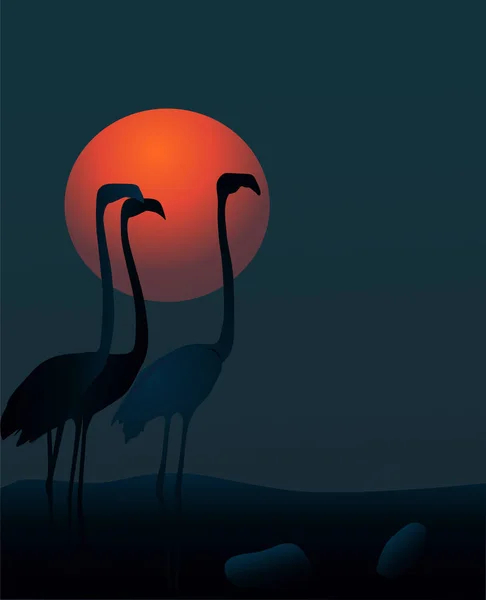 Векторная Иллюстрация Ночной Сцены Фламинго Шаблона Футболки Фона — стоковый вектор