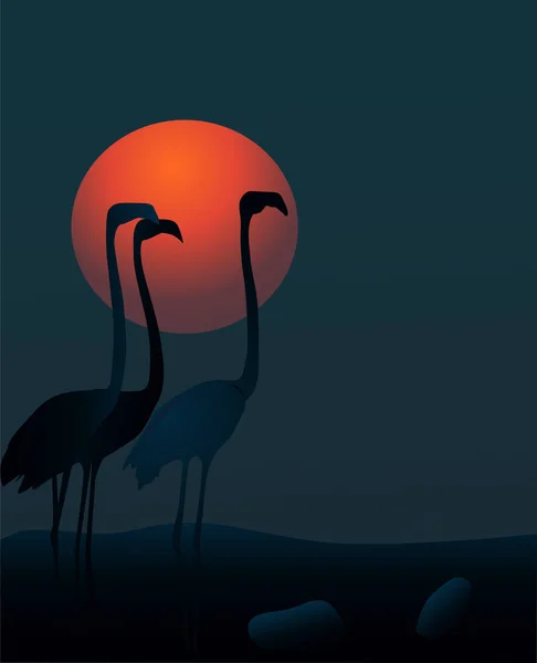 Ilustración Vectorial Escena Nocturna Con Flamencos Para Plantilla Camiseta Fondo — Vector de stock