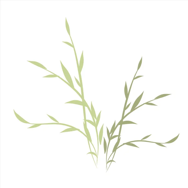 一枝树叶 白色背景上分离的单个植物学元件 — 图库矢量图片