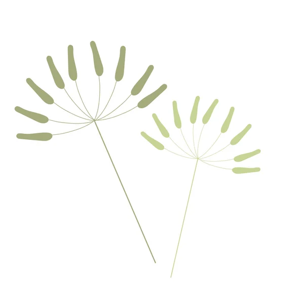 Une Branche Feuilles Élément Botanique Isolé Sur Fond Blanc — Image vectorielle