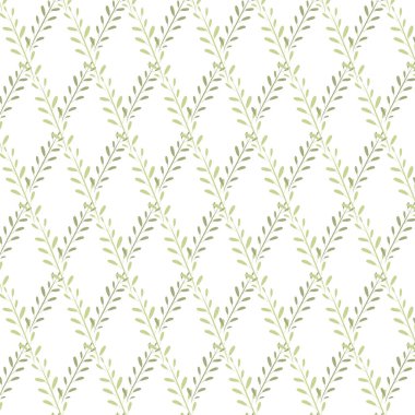 Bitkiler, çiçekler, böğürtlen, beyaz arka planda yeşil yapraklar. Botanik süsü.