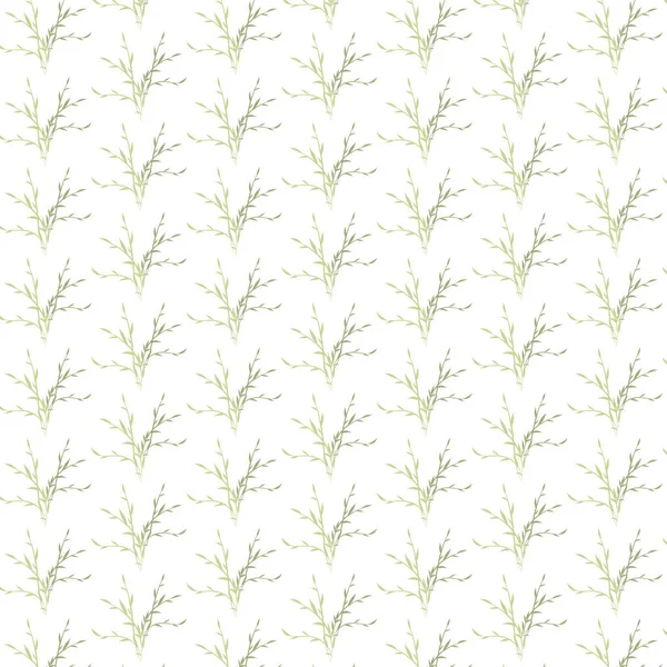 Beyaz arka planda bitkiler olan kusursuz bir desen. Botanik süsü.