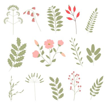 Botanik bölümü. Yeşil yapraklar, bitkiler ve dallar. Çiçek Tasarım elementleri.