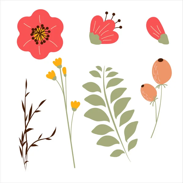 Ensemble Dessin Main Belles Plantes Eléments Floraux Pour Votre Design — Image vectorielle