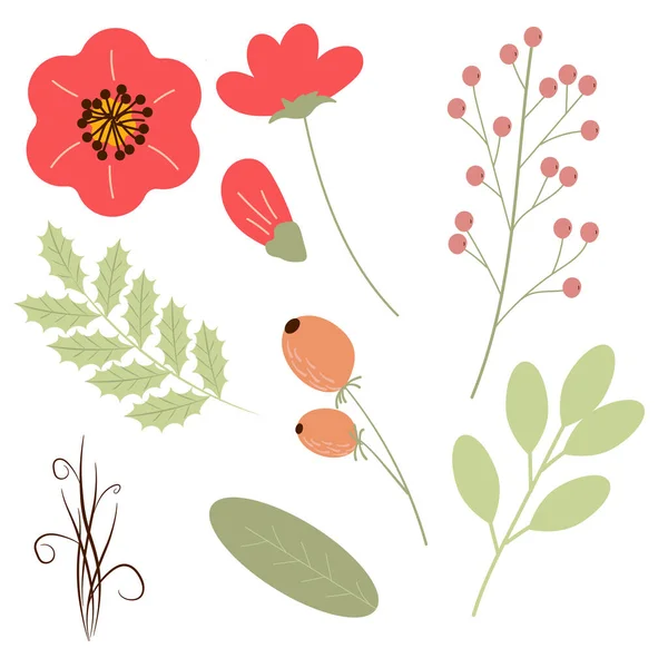 El çizimi çok güzel bitkiler. Tasarımın için çiçek unsurları: çiçekler, böğürtlen, dallar, yapraklar. Botanik bahçesi seti.
