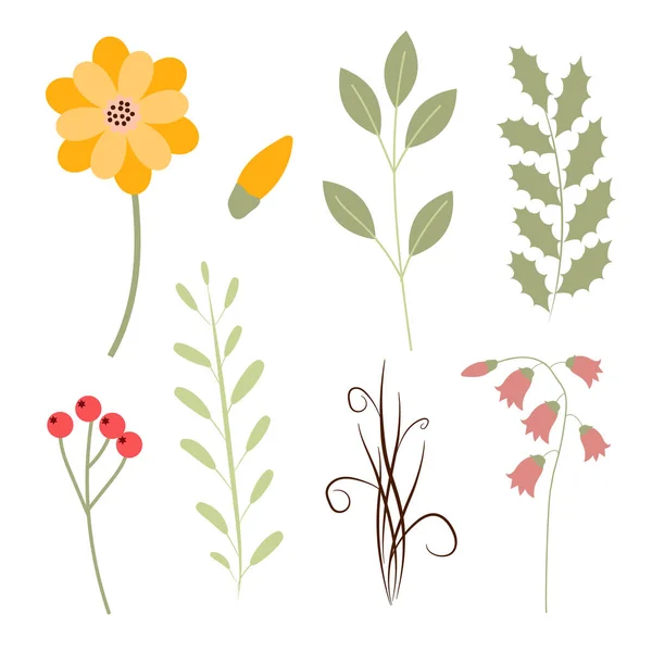 Ensemble Dessin Main Belles Plantes Eléments Floraux Pour Votre Design — Image vectorielle