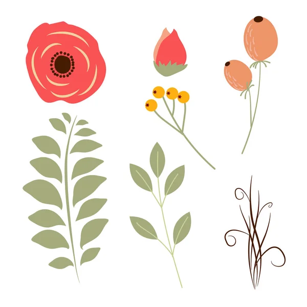 El çizimi çok güzel bitkiler. Çiçekler, böğürtlenler, dallar, yapraklar. Botanik bahçesi seti.