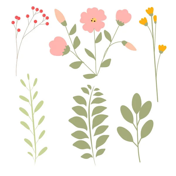 Ensemble Dessin Main Belles Plantes Eléments Floraux Pour Votre Design — Image vectorielle