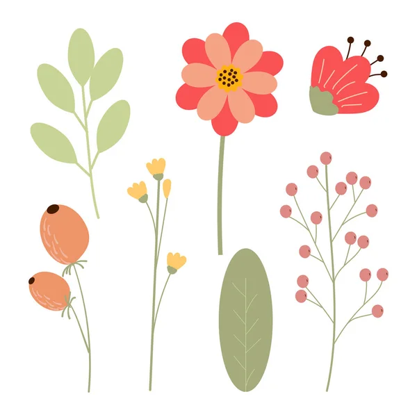 Ensemble Dessin Main Belles Plantes Eléments Floraux Pour Votre Design — Image vectorielle