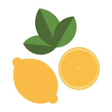 Set of lemon slice lemon fruit and leaf on white background. Vector illustration.