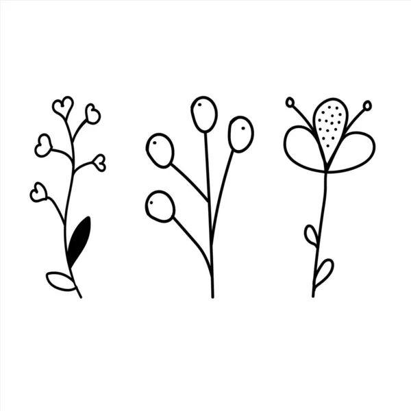 手描きの葉や花のコレクション 花飾り ベクトル — ストックベクタ