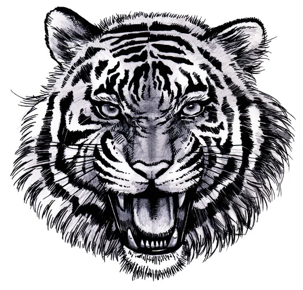 Illustration Visage Tigre Aboyant Bouche Ouverte Illustration Réaliste Visage Tigre — Photo