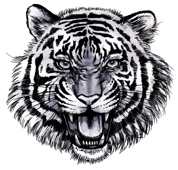 Ilustracja Twarzy Tygrysa Szczekającego Otwartymi Ustami Realistyczna Ilustracja Ryczącej Twarzy — Zdjęcie stockowe