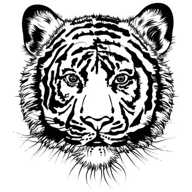  Black and white illustration of a tiger's face facing the front.  Black and white illustration of a bearded tiger's face drawn in black on a white background. 