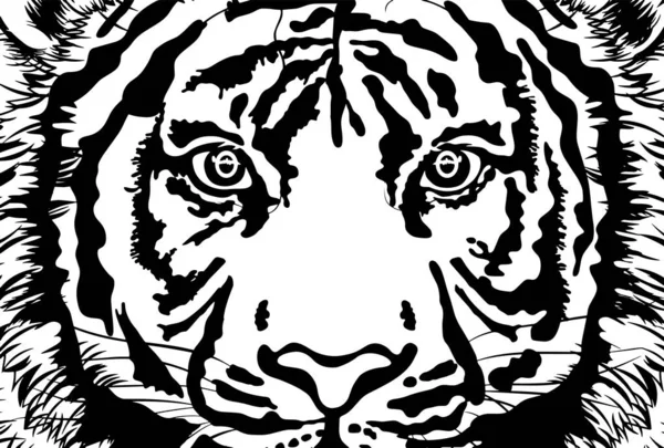 Ilustración Blanco Negro Plantilla Postal Cara Tigre Primer Plano Una —  Fotos de Stock