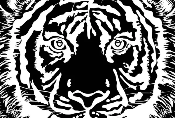Чорно Біла Ілюстрація Обличчя Тигра Вгору Шаблон Листівок Ілюстрація Розміру — стокове фото